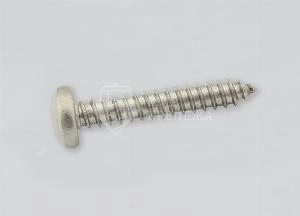 Саморез DIN 7981 3,9х32 А2 TORX