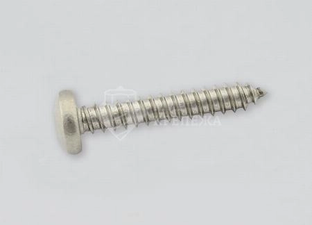 Саморез DIN 7981 3,9х32 А2 TORX