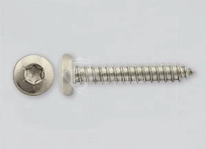 Саморез DIN 7981 3,9х32 А2 TORX