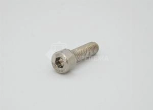 Винт DIN 912 М 3х10 А2 TORX