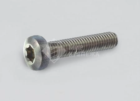 Винт DIN 7985 М 8х25 А2 TORX