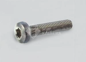 Винт DIN 7985 М 3х8 А2 TORX