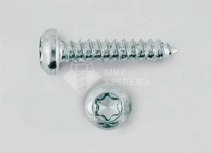 Саморез DIN 7981 2,9х19 оц. TORX