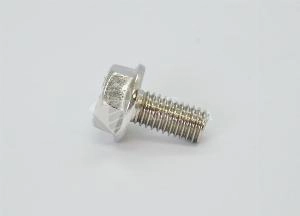Болт DIN 6921 М 10х60 А2