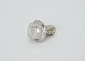 Болт DIN 6921 М 10х60 А2