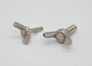 Винт DIN 316 М 10х60 А2