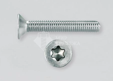 Винт DIN 965 М 8х30 4,8 оц TORX