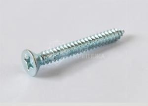 Саморез DIN 7982 2,9х19 Torx цинк