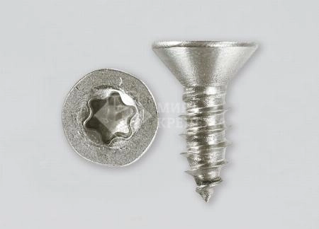 Саморез DIN 7982 4,8х50 A4 TORX